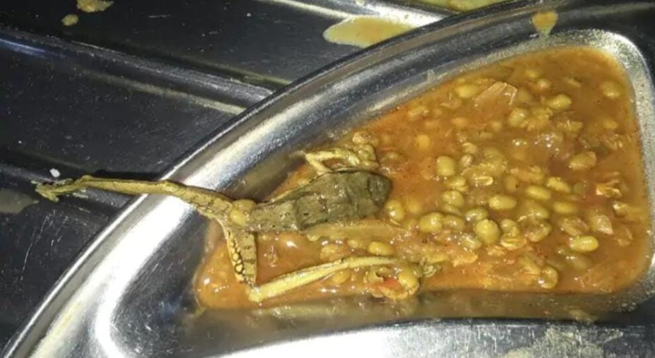 मेस में पका मेंढक परोसे जाने से मचा हड़कंप, फूड विभाग की छापेमारी में कई खामियां उजागर